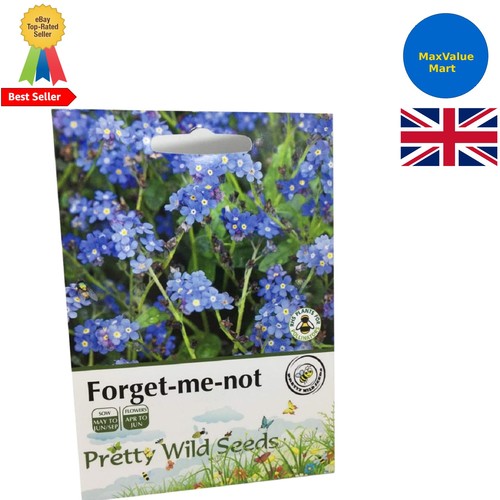 Beautiful forget not flower - beautiful, forget-me-not